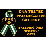 PKD Negative